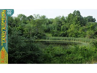 Property photo 9 - WOODLAND AUCTION, SOUTHEAST OHIO WOODLAND - 2,500+/- Acres offered in 66 Tracts in Muskingum, Athens, Meigs & Gallia Counties