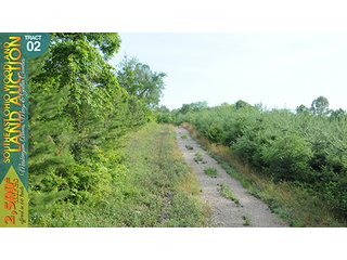 Property photo 10 - WOODLAND AUCTION, SOUTHEAST OHIO WOODLAND - 2,500+/- Acres offered in 66 Tracts in Muskingum, Athens, Meigs & Gallia Counties
