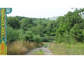 Property photo 11 - WOODLAND AUCTION, SOUTHEAST OHIO WOODLAND - 2,500+/- Acres offered in 66 Tracts in Muskingum, Athens, Meigs & Gallia Counties