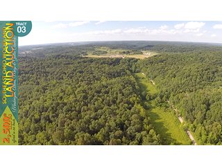 Property photo 13 - WOODLAND AUCTION, SOUTHEAST OHIO WOODLAND - 2,500+/- Acres offered in 66 Tracts in Muskingum, Athens, Meigs & Gallia Counties