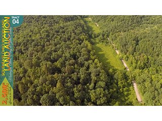 Property photo 15 - WOODLAND AUCTION, SOUTHEAST OHIO WOODLAND - 2,500+/- Acres offered in 66 Tracts in Muskingum, Athens, Meigs & Gallia Counties