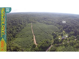 Property photo 17 - WOODLAND AUCTION, SOUTHEAST OHIO WOODLAND - 2,500+/- Acres offered in 66 Tracts in Muskingum, Athens, Meigs & Gallia Counties