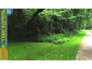 Property photo 18 - WOODLAND AUCTION, SOUTHEAST OHIO WOODLAND - 2,500+/- Acres offered in 66 Tracts in Muskingum, Athens, Meigs & Gallia Counties