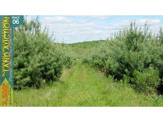 Property photo 21 - WOODLAND AUCTION, SOUTHEAST OHIO WOODLAND - 2,500+/- Acres offered in 66 Tracts in Muskingum, Athens, Meigs & Gallia Counties