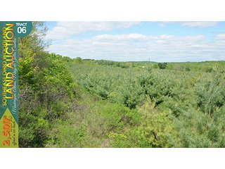 Property photo 22 - WOODLAND AUCTION, SOUTHEAST OHIO WOODLAND - 2,500+/- Acres offered in 66 Tracts in Muskingum, Athens, Meigs & Gallia Counties
