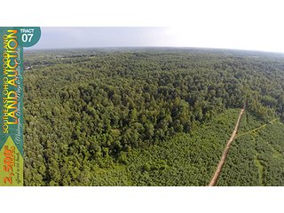 Property photo 24 - WOODLAND AUCTION, SOUTHEAST OHIO WOODLAND - 2,500+/- Acres offered in 66 Tracts in Muskingum, Athens, Meigs & Gallia Counties