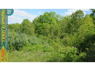 Property photo 25 - WOODLAND AUCTION, SOUTHEAST OHIO WOODLAND - 2,500+/- Acres offered in 66 Tracts in Muskingum, Athens, Meigs & Gallia Counties