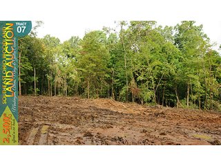 Property photo 26 - WOODLAND AUCTION, SOUTHEAST OHIO WOODLAND - 2,500+/- Acres offered in 66 Tracts in Muskingum, Athens, Meigs & Gallia Counties