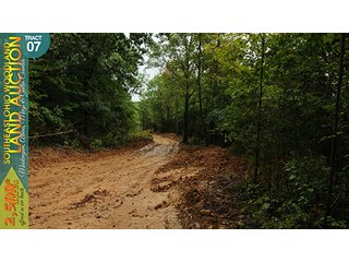 Property photo 27 - WOODLAND AUCTION, SOUTHEAST OHIO WOODLAND - 2,500+/- Acres offered in 66 Tracts in Muskingum, Athens, Meigs & Gallia Counties