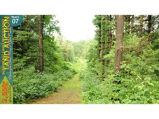 Property photo 29 - WOODLAND AUCTION, SOUTHEAST OHIO WOODLAND - 2,500+/- Acres offered in 66 Tracts in Muskingum, Athens, Meigs & Gallia Counties