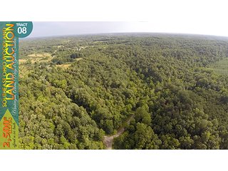Property photo 31 - WOODLAND AUCTION, SOUTHEAST OHIO WOODLAND - 2,500+/- Acres offered in 66 Tracts in Muskingum, Athens, Meigs & Gallia Counties
