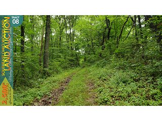 Property photo 32 - WOODLAND AUCTION, SOUTHEAST OHIO WOODLAND - 2,500+/- Acres offered in 66 Tracts in Muskingum, Athens, Meigs & Gallia Counties