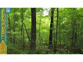 Property photo 33 - WOODLAND AUCTION, SOUTHEAST OHIO WOODLAND - 2,500+/- Acres offered in 66 Tracts in Muskingum, Athens, Meigs & Gallia Counties