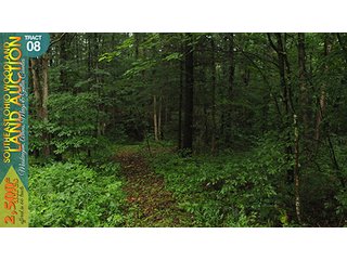 Property photo 34 - WOODLAND AUCTION, SOUTHEAST OHIO WOODLAND - 2,500+/- Acres offered in 66 Tracts in Muskingum, Athens, Meigs & Gallia Counties