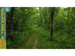 Property photo 36 - WOODLAND AUCTION, SOUTHEAST OHIO WOODLAND - 2,500+/- Acres offered in 66 Tracts in Muskingum, Athens, Meigs & Gallia Counties