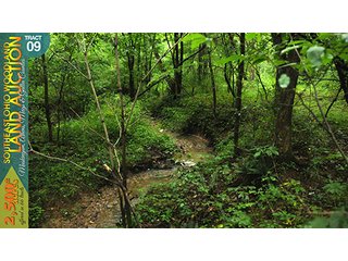 Property photo 39 - WOODLAND AUCTION, SOUTHEAST OHIO WOODLAND - 2,500+/- Acres offered in 66 Tracts in Muskingum, Athens, Meigs & Gallia Counties