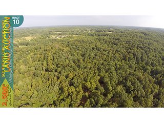 Property photo 41 - WOODLAND AUCTION, SOUTHEAST OHIO WOODLAND - 2,500+/- Acres offered in 66 Tracts in Muskingum, Athens, Meigs & Gallia Counties