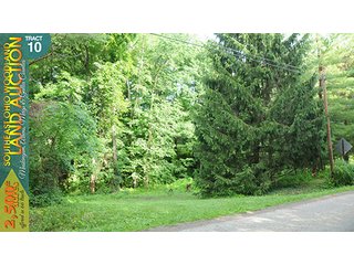 Property photo 43 - WOODLAND AUCTION, SOUTHEAST OHIO WOODLAND - 2,500+/- Acres offered in 66 Tracts in Muskingum, Athens, Meigs & Gallia Counties