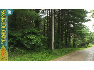 Property photo 44 - WOODLAND AUCTION, SOUTHEAST OHIO WOODLAND - 2,500+/- Acres offered in 66 Tracts in Muskingum, Athens, Meigs & Gallia Counties