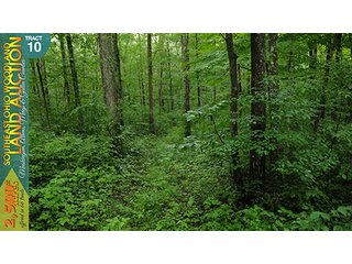 Property photo 46 - WOODLAND AUCTION, SOUTHEAST OHIO WOODLAND - 2,500+/- Acres offered in 66 Tracts in Muskingum, Athens, Meigs & Gallia Counties