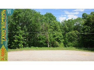 Property photo 50 - WOODLAND AUCTION, SOUTHEAST OHIO WOODLAND - 2,500+/- Acres offered in 66 Tracts in Muskingum, Athens, Meigs & Gallia Counties