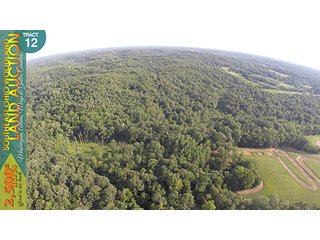 Property photo 54 - WOODLAND AUCTION, SOUTHEAST OHIO WOODLAND - 2,500+/- Acres offered in 66 Tracts in Muskingum, Athens, Meigs & Gallia Counties