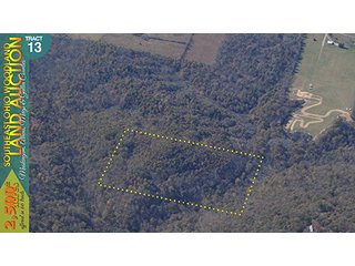 Property photo 56 - WOODLAND AUCTION, SOUTHEAST OHIO WOODLAND - 2,500+/- Acres offered in 66 Tracts in Muskingum, Athens, Meigs & Gallia Counties