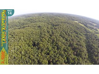 Property photo 58 - WOODLAND AUCTION, SOUTHEAST OHIO WOODLAND - 2,500+/- Acres offered in 66 Tracts in Muskingum, Athens, Meigs & Gallia Counties