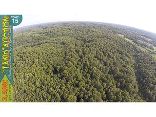 Property photo 61 - WOODLAND AUCTION, SOUTHEAST OHIO WOODLAND - 2,500+/- Acres offered in 66 Tracts in Muskingum, Athens, Meigs & Gallia Counties