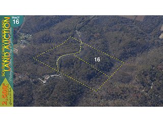 Property photo 63 - WOODLAND AUCTION, SOUTHEAST OHIO WOODLAND - 2,500+/- Acres offered in 66 Tracts in Muskingum, Athens, Meigs & Gallia Counties