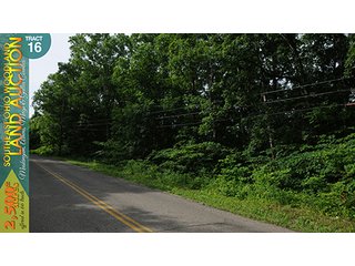 Property photo 64 - WOODLAND AUCTION, SOUTHEAST OHIO WOODLAND - 2,500+/- Acres offered in 66 Tracts in Muskingum, Athens, Meigs & Gallia Counties