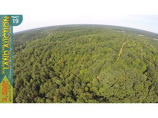 Property photo 72 - WOODLAND AUCTION, SOUTHEAST OHIO WOODLAND - 2,500+/- Acres offered in 66 Tracts in Muskingum, Athens, Meigs & Gallia Counties