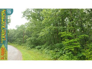 Property photo 73 - WOODLAND AUCTION, SOUTHEAST OHIO WOODLAND - 2,500+/- Acres offered in 66 Tracts in Muskingum, Athens, Meigs & Gallia Counties