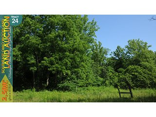 Property photo 88 - WOODLAND AUCTION, SOUTHEAST OHIO WOODLAND - 2,500+/- Acres offered in 66 Tracts in Muskingum, Athens, Meigs & Gallia Counties