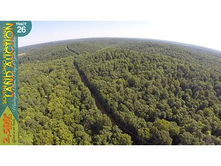 Property photo 95 - WOODLAND AUCTION, SOUTHEAST OHIO WOODLAND - 2,500+/- Acres offered in 66 Tracts in Muskingum, Athens, Meigs & Gallia Counties