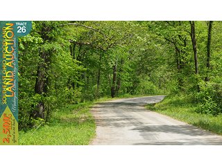 Property photo 96 - WOODLAND AUCTION, SOUTHEAST OHIO WOODLAND - 2,500+/- Acres offered in 66 Tracts in Muskingum, Athens, Meigs & Gallia Counties