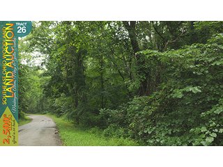 Property photo 97 - WOODLAND AUCTION, SOUTHEAST OHIO WOODLAND - 2,500+/- Acres offered in 66 Tracts in Muskingum, Athens, Meigs & Gallia Counties