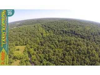 Property photo 106 - WOODLAND AUCTION, SOUTHEAST OHIO WOODLAND - 2,500+/- Acres offered in 66 Tracts in Muskingum, Athens, Meigs & Gallia Counties