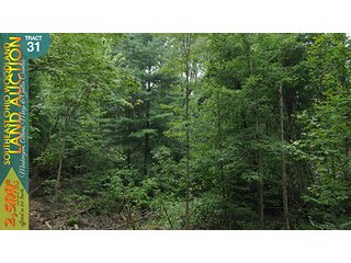 Property photo 112 - WOODLAND AUCTION, SOUTHEAST OHIO WOODLAND - 2,500+/- Acres offered in 66 Tracts in Muskingum, Athens, Meigs & Gallia Counties
