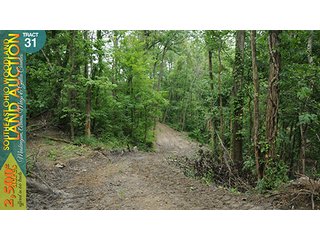 Property photo 113 - WOODLAND AUCTION, SOUTHEAST OHIO WOODLAND - 2,500+/- Acres offered in 66 Tracts in Muskingum, Athens, Meigs & Gallia Counties