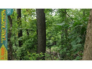 Property photo 114 - WOODLAND AUCTION, SOUTHEAST OHIO WOODLAND - 2,500+/- Acres offered in 66 Tracts in Muskingum, Athens, Meigs & Gallia Counties