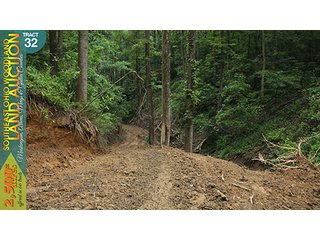 Property photo 116 - WOODLAND AUCTION, SOUTHEAST OHIO WOODLAND - 2,500+/- Acres offered in 66 Tracts in Muskingum, Athens, Meigs & Gallia Counties