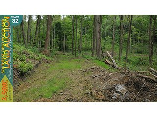 Property photo 117 - WOODLAND AUCTION, SOUTHEAST OHIO WOODLAND - 2,500+/- Acres offered in 66 Tracts in Muskingum, Athens, Meigs & Gallia Counties