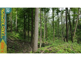 Property photo 118 - WOODLAND AUCTION, SOUTHEAST OHIO WOODLAND - 2,500+/- Acres offered in 66 Tracts in Muskingum, Athens, Meigs & Gallia Counties