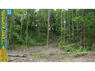 Property photo 119 - WOODLAND AUCTION, SOUTHEAST OHIO WOODLAND - 2,500+/- Acres offered in 66 Tracts in Muskingum, Athens, Meigs & Gallia Counties