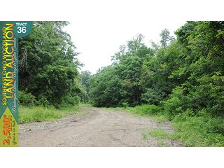 Property photo 122 - WOODLAND AUCTION, SOUTHEAST OHIO WOODLAND - 2,500+/- Acres offered in 66 Tracts in Muskingum, Athens, Meigs & Gallia Counties