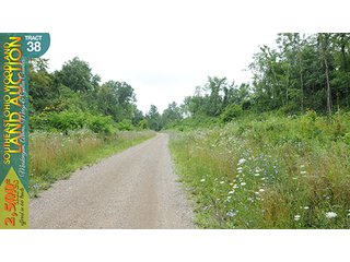 Property photo 124 - WOODLAND AUCTION, SOUTHEAST OHIO WOODLAND - 2,500+/- Acres offered in 66 Tracts in Muskingum, Athens, Meigs & Gallia Counties