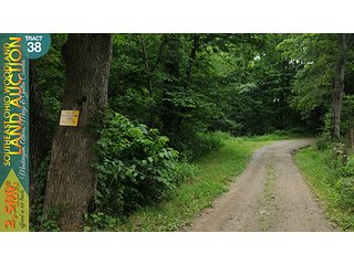 Property photo 125 - WOODLAND AUCTION, SOUTHEAST OHIO WOODLAND - 2,500+/- Acres offered in 66 Tracts in Muskingum, Athens, Meigs & Gallia Counties