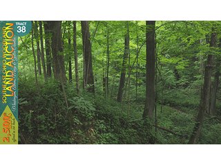 Property photo 126 - WOODLAND AUCTION, SOUTHEAST OHIO WOODLAND - 2,500+/- Acres offered in 66 Tracts in Muskingum, Athens, Meigs & Gallia Counties
