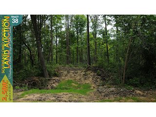 Property photo 128 - WOODLAND AUCTION, SOUTHEAST OHIO WOODLAND - 2,500+/- Acres offered in 66 Tracts in Muskingum, Athens, Meigs & Gallia Counties
